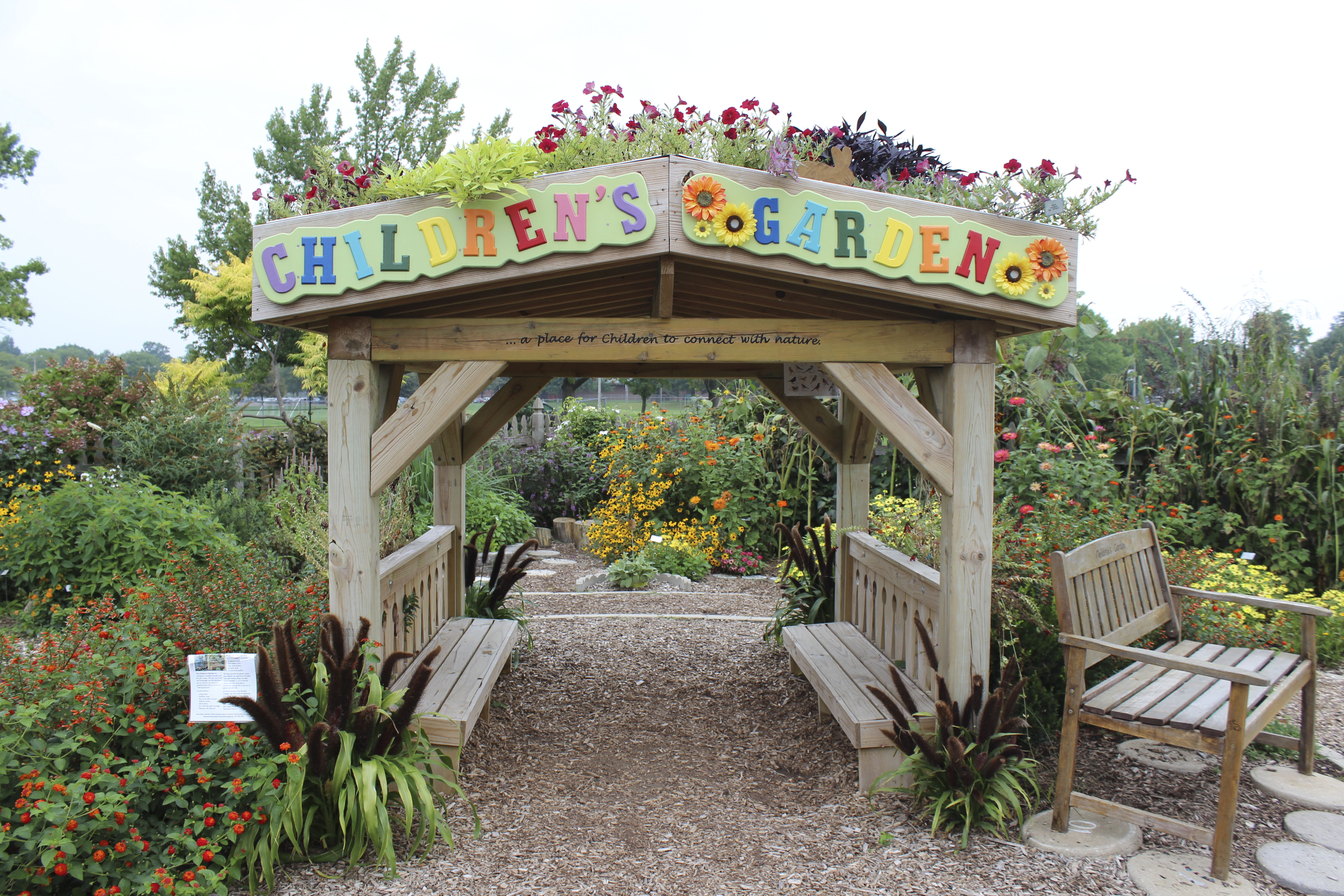 Children exploring the daycare garden